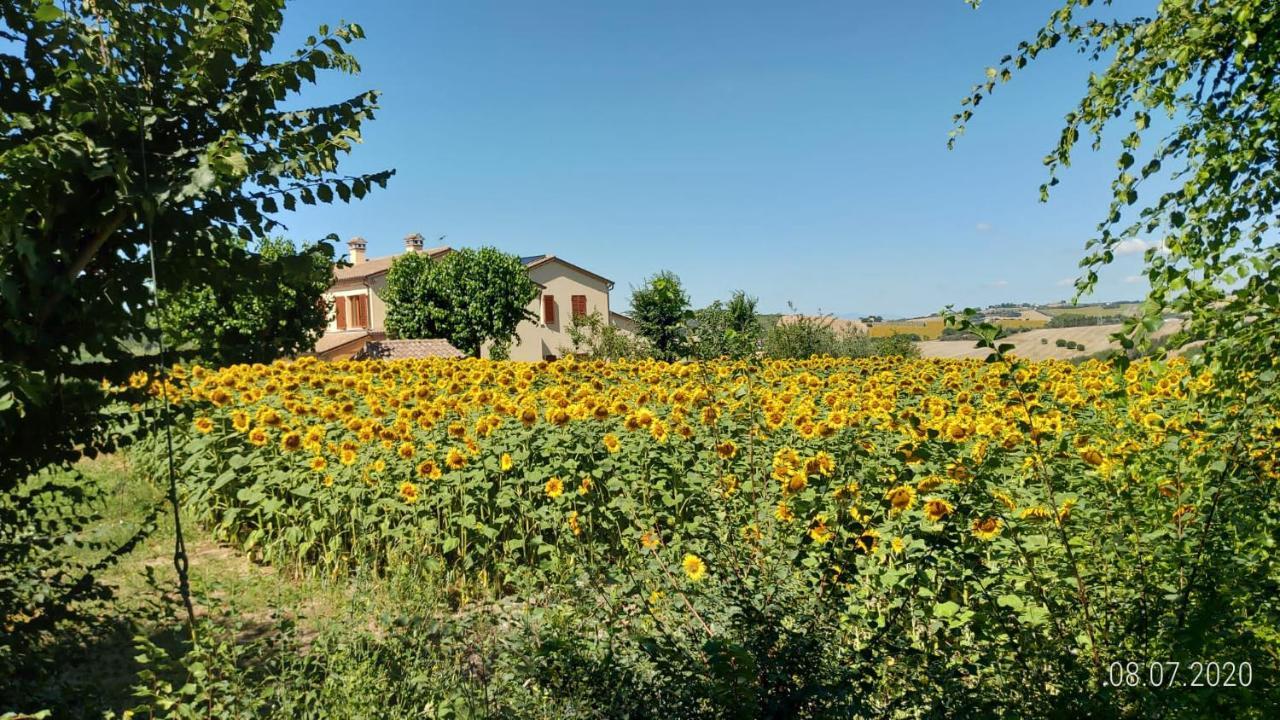 Agriturismo Vallelunga อังโกนา ภายนอก รูปภาพ