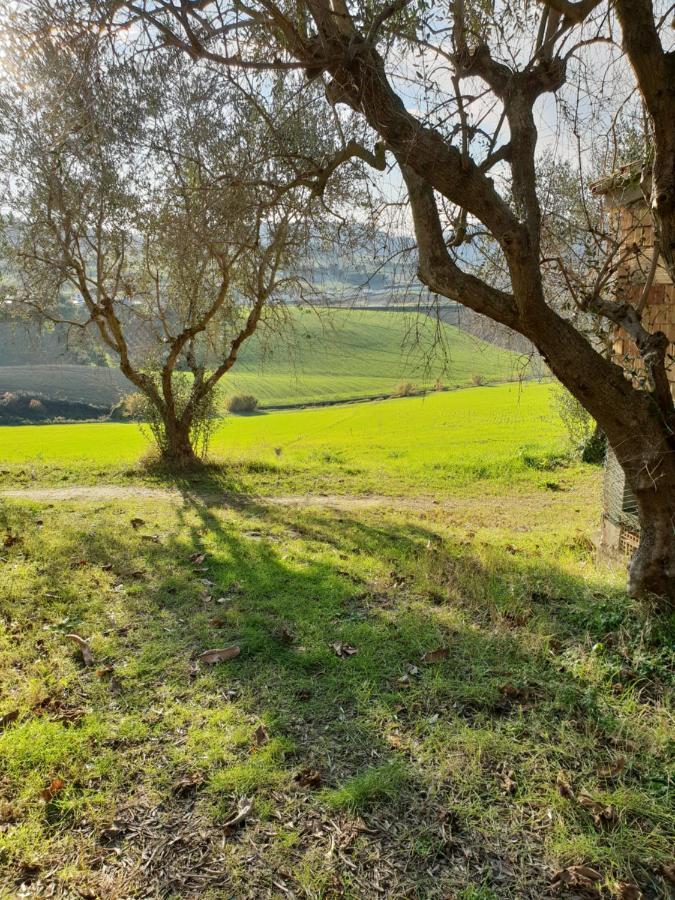 Agriturismo Vallelunga อังโกนา ภายนอก รูปภาพ